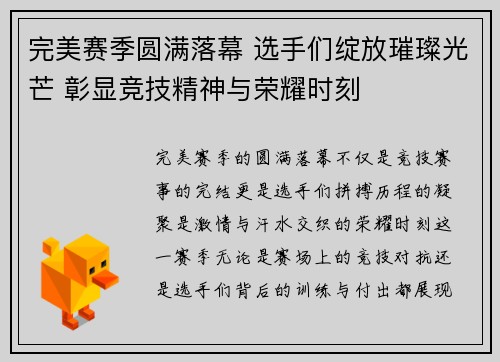 完美赛季圆满落幕 选手们绽放璀璨光芒 彰显竞技精神与荣耀时刻
